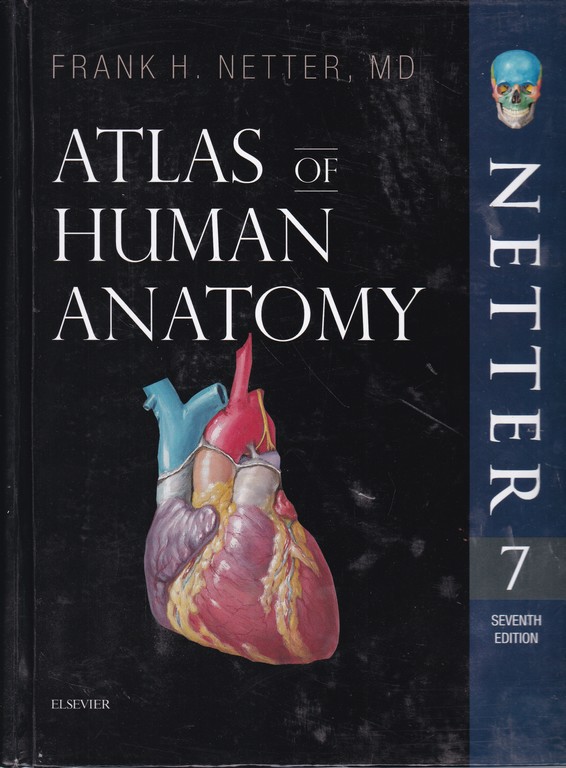 بدون قاب/ATLAS OF HUMAN ANATOMY NETTER+CD/v7*