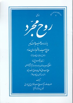 روح مجرد(یادنامه سید هاشم موسوی حداد) شومیز