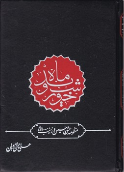 منظومه عشق حسین و زینب/مطاف