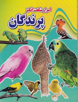 اسرار شگفت انگیز (پرندگان)