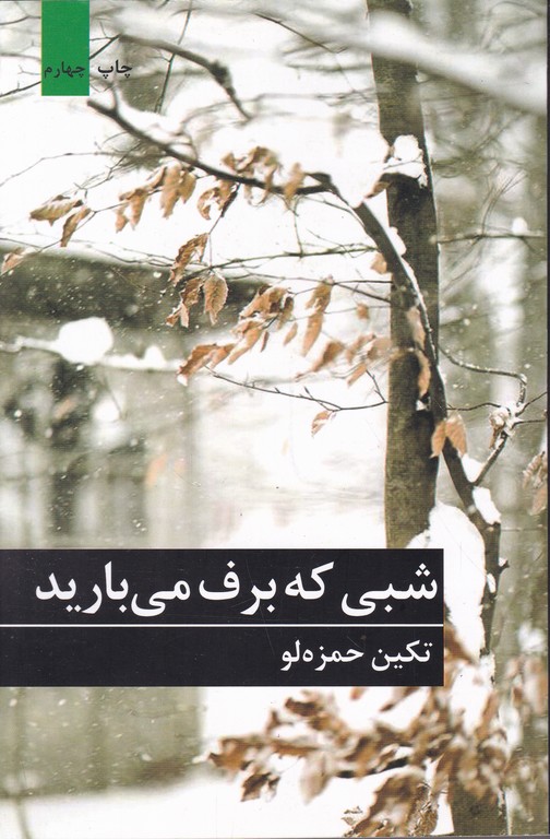 شبی که برف می بارید