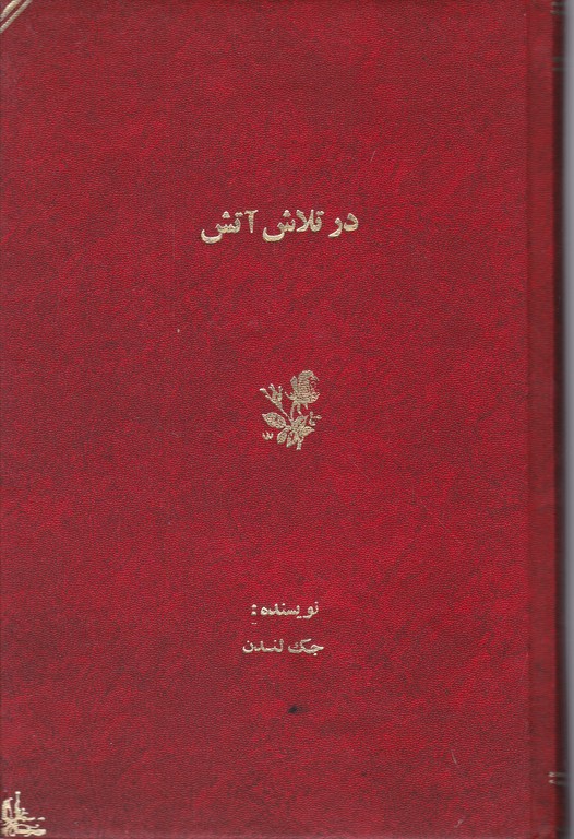 در تلاش آتش