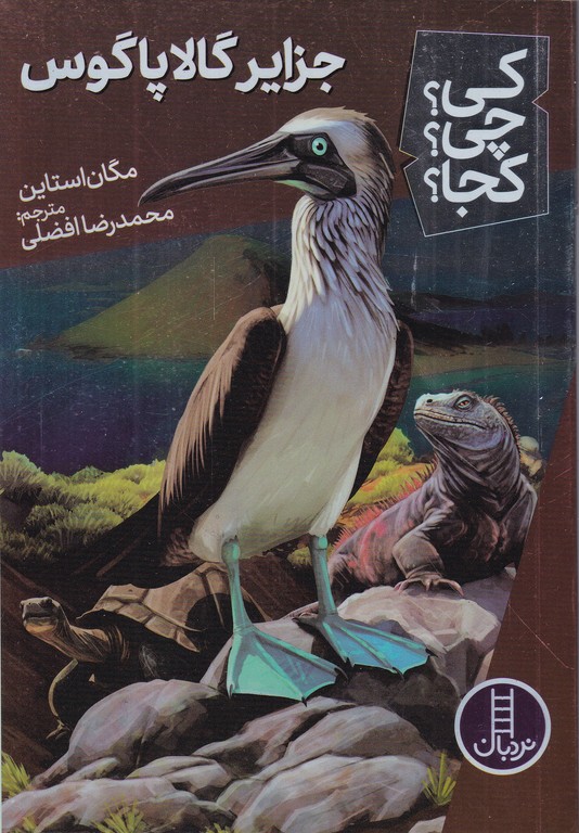 کی چی کجا(جزایر گالاپاگوس)